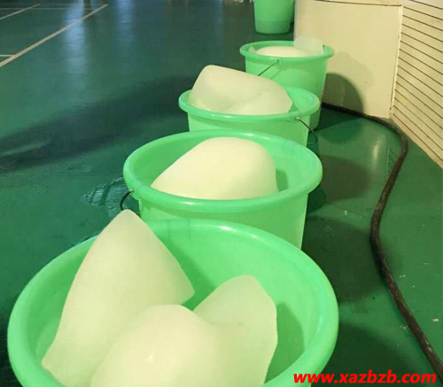 西安向日葵黄色网站冰块.jpg 西安向日葵黄色网站冰块.jpg